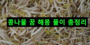콩나물 꿈 해몽 풀이 총정리