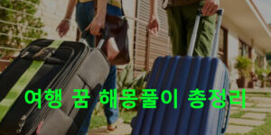 여행 꿈 해몽, 해외, 가족, 시간, 일본, 미국