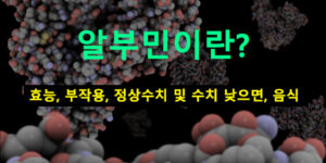 알부민이란? 효능, 부작용, 정상수치 및 수치 낮으면, 음식