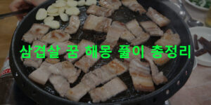 삼겹살 꿈 해몽 풀이 총정리