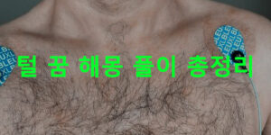 털 꿈 해몽: 얼굴, 가슴, 다리, 겨드랑이, 음모, 뽑는, 깍는
