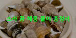 소라 꿈 해몽 풀이 총정리