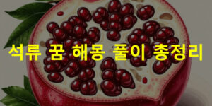 석류 꿈 해몽: 먹는, 보는, 따는, 태몽, 석류나무