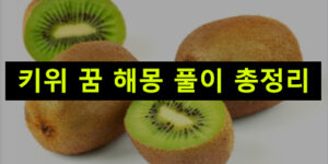 키위 꿈 해몽: 태몽, 먹는, 사는, 받는, 따는