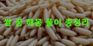 쌀 꿈 해몽: 가마니, 씻는, 받는, 사는, 뻥튀기, 씻어밥하는