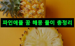 파인애플 꿈 해몽: 먹는, 따는, 사는, 주는, 받는