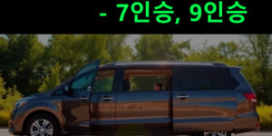 카니발 장기렌트 가솔린, 디젤 비용 견적- 7인승, 9인승