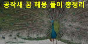 공작새 꿈 해몽: 나오는, 날으는, 타는, 화려한