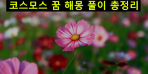코스모스 꿈 해몽: 보는, 피는, 태몽