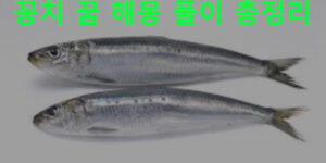 꽁치 꿈 해몽: 보는, 먹는, 잡는