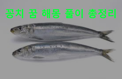 꽁치 꿈 해몽: 보는, 먹는, 잡는