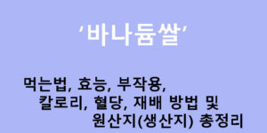 바나듐쌀 먹는법, 효능, 부작용, 칼로리, 혈당, 재배 방법 및 원산지(생산지) 총정리