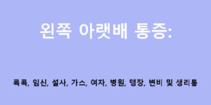 왼쪽 아랫배 통증: 콕콕, 임신, 설사, 가스, 여자, 병원, 맹장, 변비 및 생리통