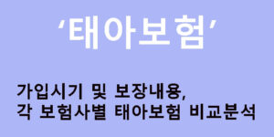 태아보험 가입시기 및 보장내용, 각 보험사별 태아보험 비교분석