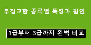 부정교합 종류별 특징과 원인 – 1급부터 3급까지 완벽 비교
