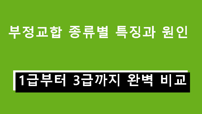부정교합 종류별 특징과 원인 – 1급부터 3급까지 완벽 비교