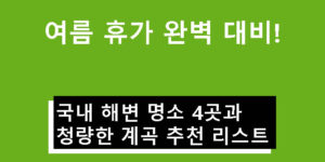 여름 휴가 완벽 대비! 국내 해변 명소 4곳과 청량한 계곡 추천 리스트