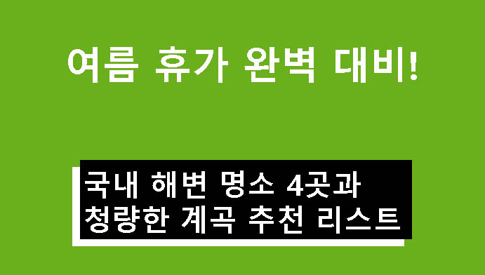 여름 휴가 완벽 대비! 국내 해변 명소 4곳과 청량한 계곡 추천 리스트