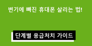 변기에 빠진 휴대폰(핸드폰) 살리는 법! 단계별 응급처치 가이드