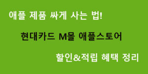 애플 제품 싸게 사는 법! 현대카드 M몰 애플스토어 할인&적립 혜택 정리