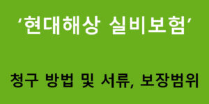 현대해상 실비보험(실손의료비보장보험): 청구 방법 및 서류, 보장범위