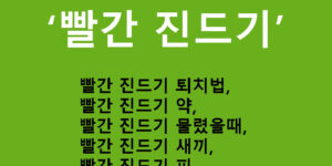 빨간 진드기 퇴치법, 약, 물렸을때, 새끼, 피