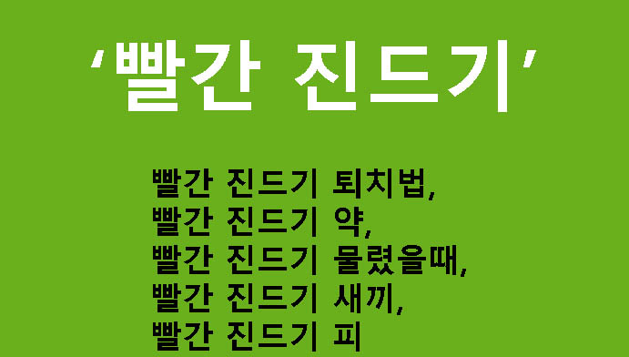 빨간 진드기 퇴치법, 약, 물렸을때, 새끼, 피