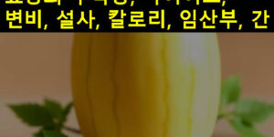 참외 효능과 부작용, 다이어트, 변비, 설사, 칼로리, 임산부, 간
