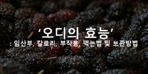 오디의 효능: 임산부, 칼로리, 부작용, 먹는법