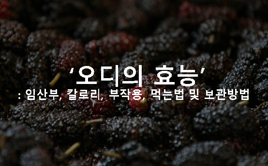 오디의 효능: 임산부, 칼로리, 부작용, 먹는법