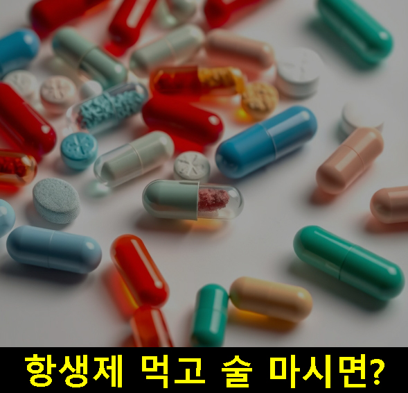 항생제 먹고 술 마시면?: 부작용,  설사, 두통, 메스꺼움, 몇시간, 8시간 or 24시간