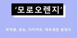모로오렌지 부작용, 효능, 다이어트, 락토페린 총정리