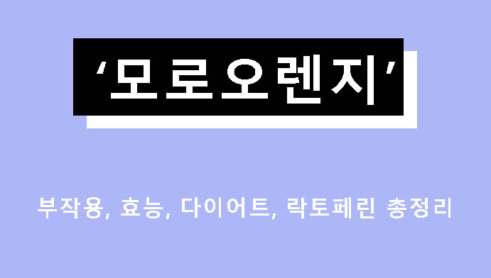 모로오렌지 부작용, 효능, 다이어트, 락토페린 총정리