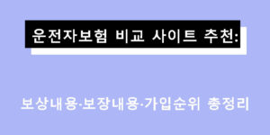 운전자보험 비교 사이트 추천: 보상내용·보장내용·가입순위 총정리