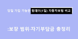 당일 가입 가능한 원데이(1일) 자동차보험 비교: 보장 범위·자기부담금 총정리