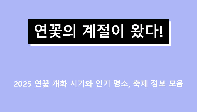 연꽃의 계절이 왔다! 2025 연꽃 개화 시기와 인기 명소, 축제 정보 모음