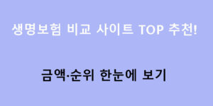 생명보험 비교 사이트 TOP 추천! 금액·순위 한눈에 보기