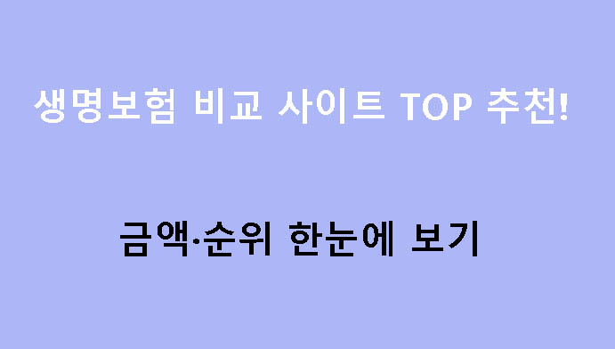 생명보험 비교 사이트 TOP 추천! 금액·순위 한눈에 보기