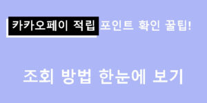 카카오페이 적립 포인트 확인 꿀팁! 조회 방법 한눈에 보기