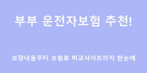 부부 운전자보험 추천! 보장내용부터 보험료 비교사이트까지 한눈에