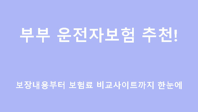 부부 운전자보험 추천! 보장내용부터 보험료 비교사이트까지 한눈에