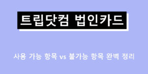 트립닷컴 법인카드 사용 가능 항목 vs 불가능 항목 완벽 정리