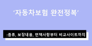 자동차보험 완전정복: 종류, 보장내용, 면책사항부터 비교사이트까지