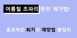 여름철 초파리 완전 제거법! 효과적인 퇴치와 예방법 총정리