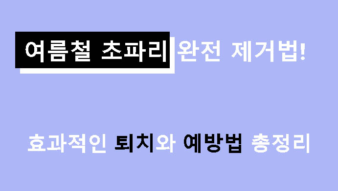 여름철 초파리 완전 제거법! 효과적인 퇴치와 예방법 총정리