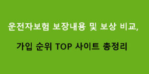 운전자보험 보장내용 및 보상 비교, 가입 순위 TOP 사이트 총정리