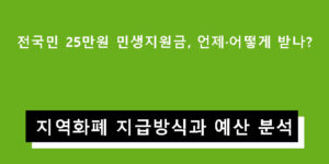 전국민 25만원 민생지원금, 언제·어떻게 받나? 지역화폐 지급방식과 예산 분석