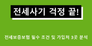 전세사기 걱정 끝! 전세보증보험 필수 조건 및 가입처 3곳 분석