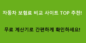 자동차 보험료 비교 사이트 TOP 추천! 무료 계산기로 간편하게 확인하세요!