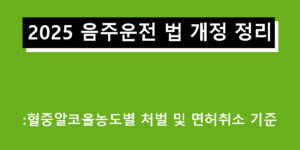 2025 음주운전 법 개정 정리: 혈중알코올농도별 처벌 및 면허취소 기준